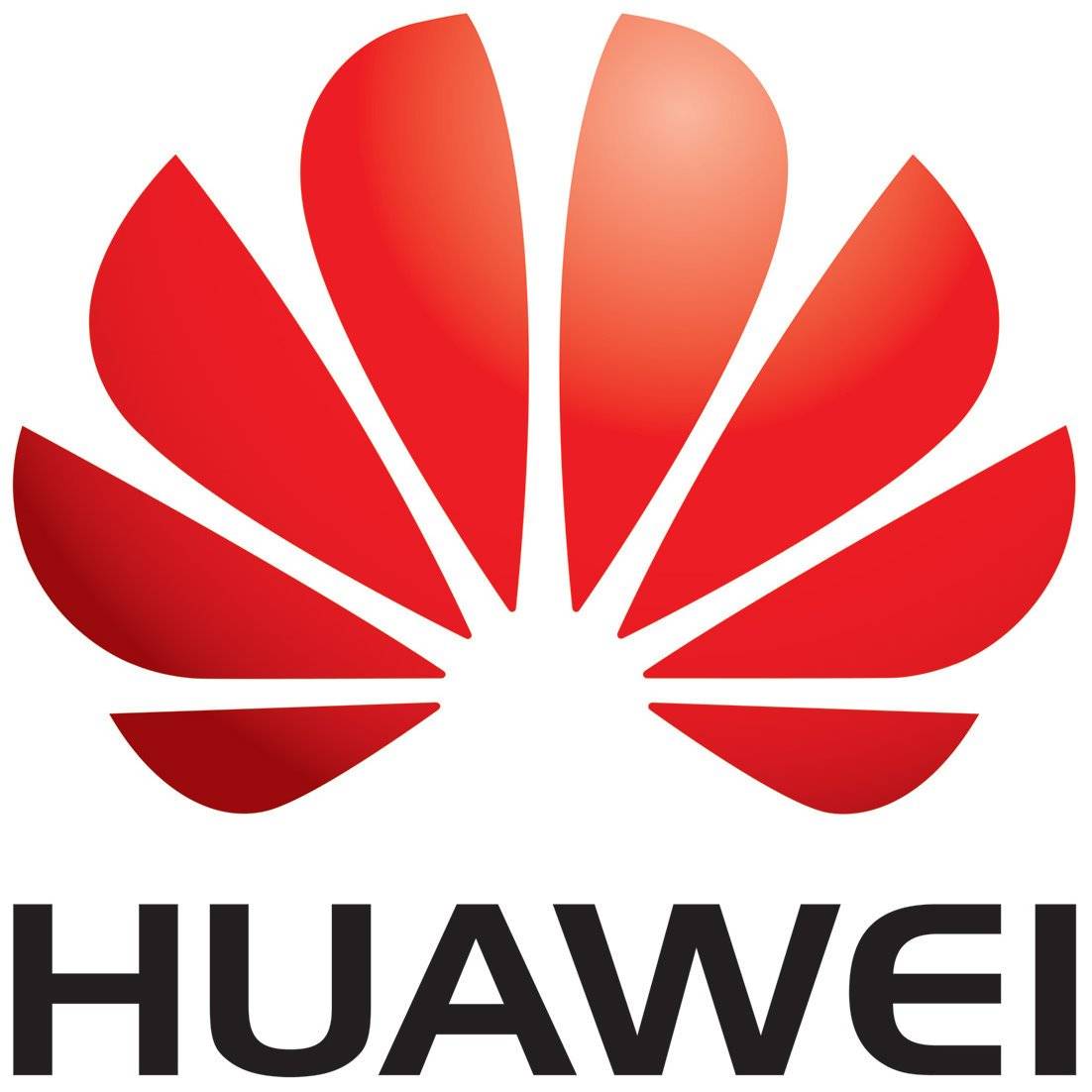 Huawei Technologies Co Ltd