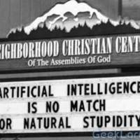 Artificial intelligence is no match for natural stupidity.