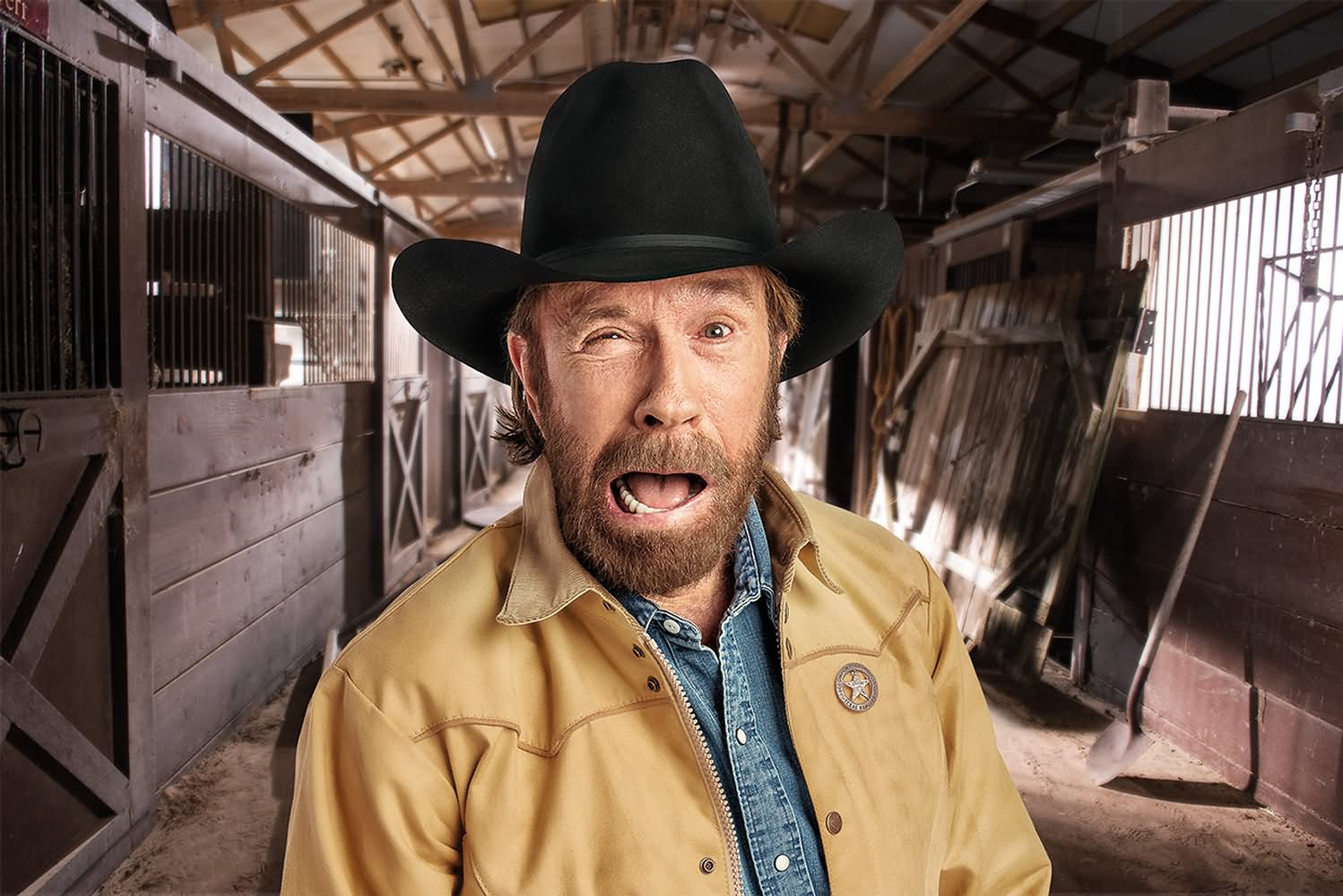75 Most Important Chuck Norris facts